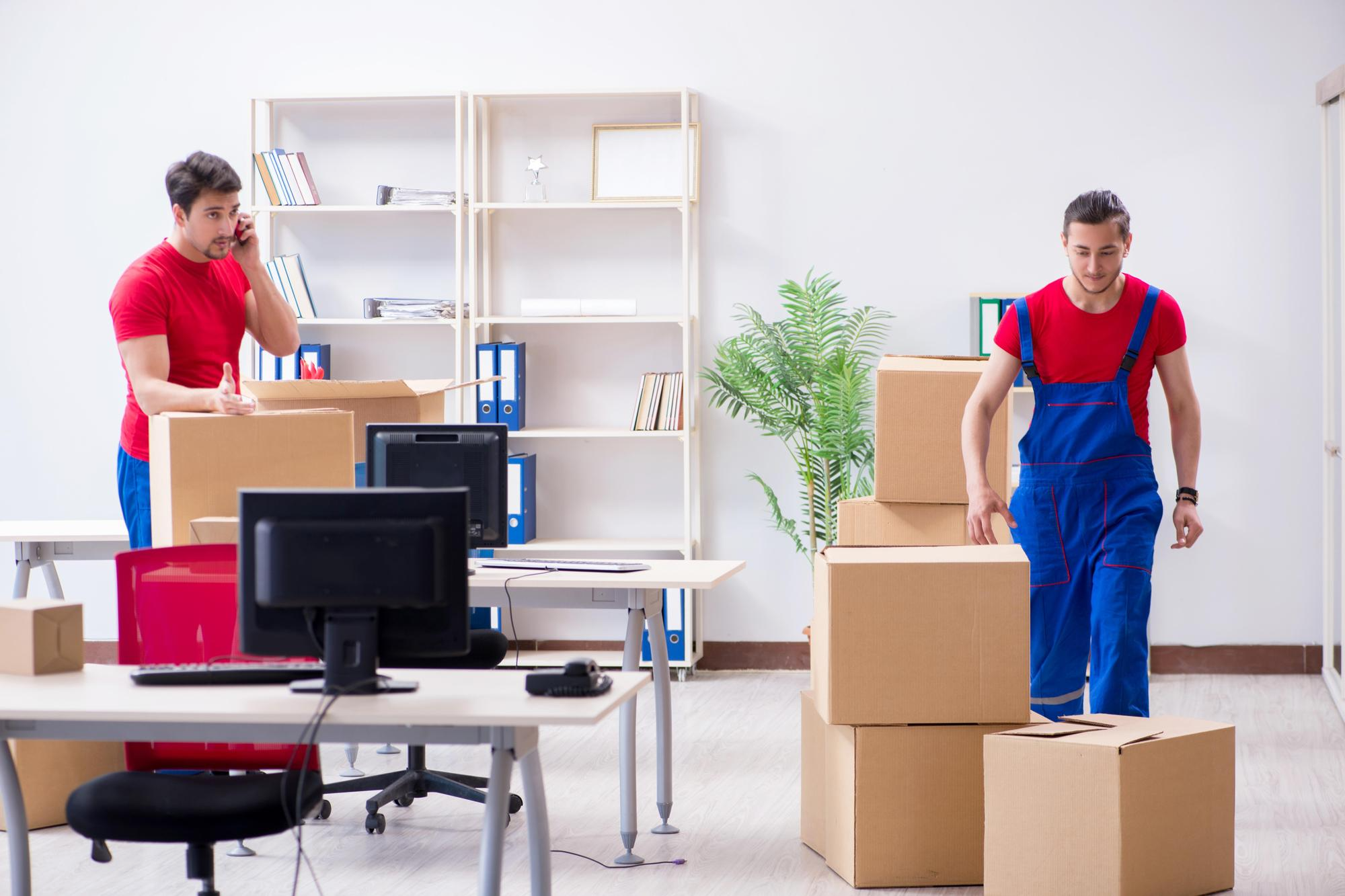 Two movers carefully handling boxes in a new home